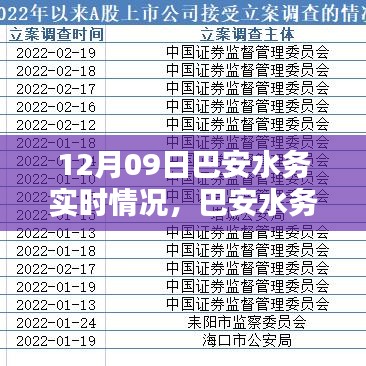 巴安水務(wù)實(shí)時(shí)情況詳解與操作指南，初學(xué)者與進(jìn)階用戶適用的任務(wù)指南（12月09日）