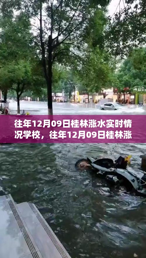 往年12月09日桂林漲水實(shí)時(shí)情況及學(xué)校應(yīng)對(duì)指南，保障學(xué)生安全無(wú)憂