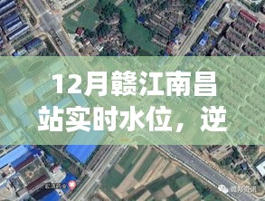 贛江南昌站水位實(shí)時(shí)觀察，逆流而上的成長(zhǎng)之旅，展現(xiàn)變化、學(xué)習(xí)與自信的力量