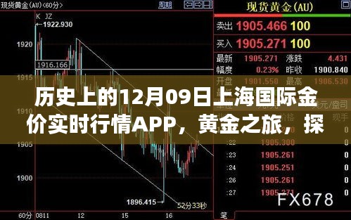 上海國(guó)際金價(jià)實(shí)時(shí)行情APP的黃金之旅，歷史探索與自然美景的融合體驗(yàn)。