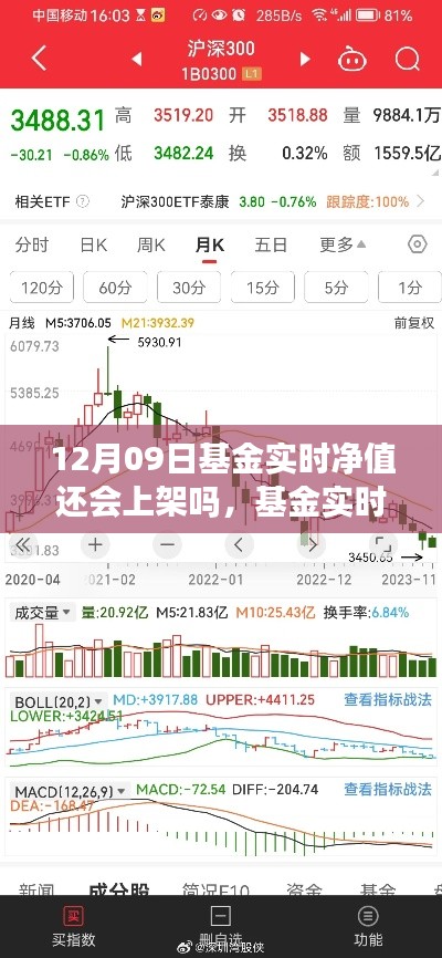 十二月九日基金實時凈值上架預測與動態(tài)解析