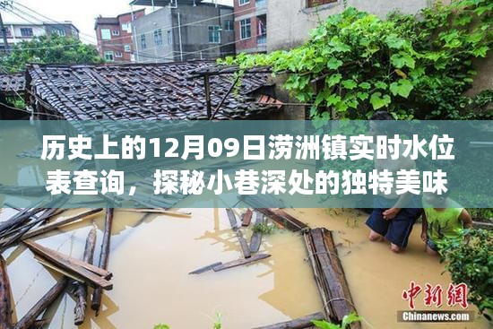 探秘澇洲鎮(zhèn)，歷史水位變遷中的小巷美食記憶——實時水位表查詢與獨(dú)特美味探秘
