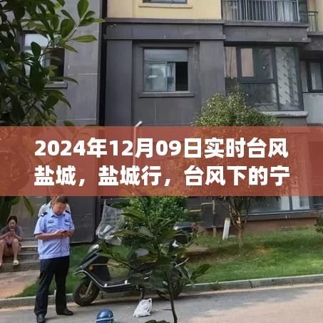 tangtangzhengzheng 第4頁