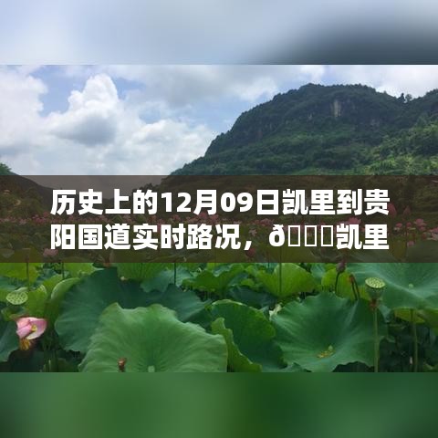 ??凱里至貴陽國道實時路況回顧與數(shù)字化轉(zhuǎn)型體驗之路