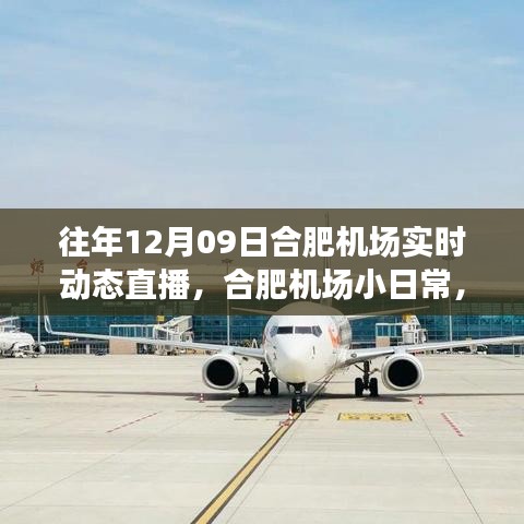 云端下的溫馨相遇，合肥機(jī)場12月9日實(shí)時(shí)動(dòng)態(tài)直播小日常