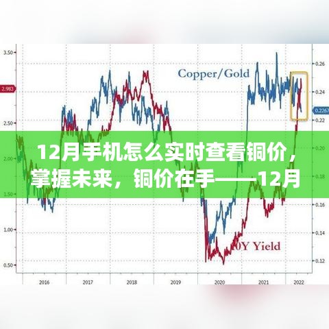 12月實時銅價監(jiān)控，掌握未來，擁抱變化！