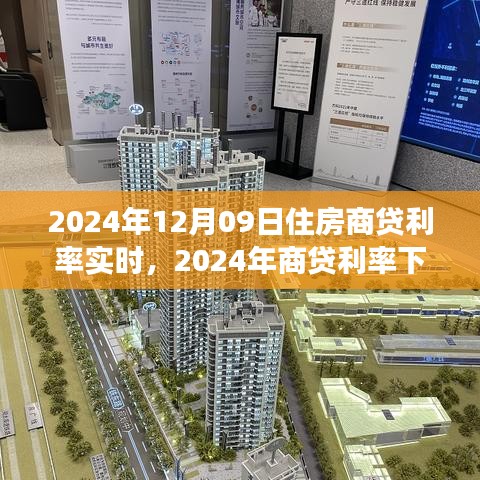 shibigongqing 第3頁