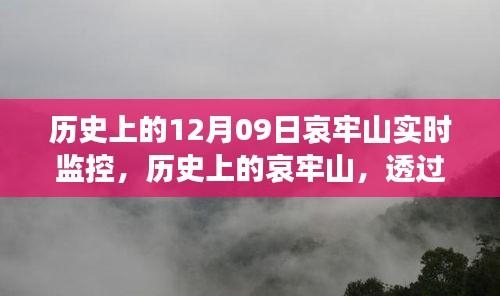 哀牢山歷史監(jiān)控實錄，透過實時影像一窺昔日風(fēng)采