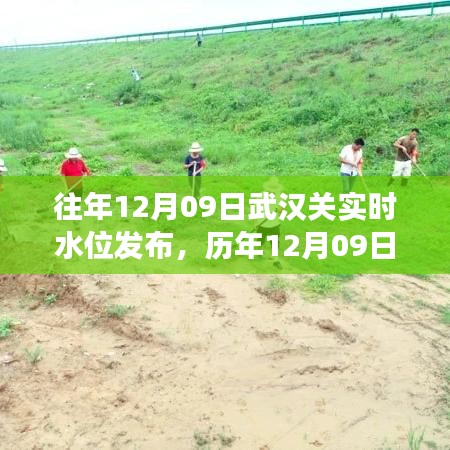 歷年12月09日武漢關(guān)水位分析與長(zhǎng)江水情洞察，洞察長(zhǎng)江之濱的水位變化及趨勢(shì)預(yù)測(cè)