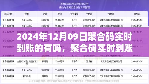 2024年聚合碼實(shí)時(shí)到賬可行性探討，以觀察日12月09日為切入點(diǎn)