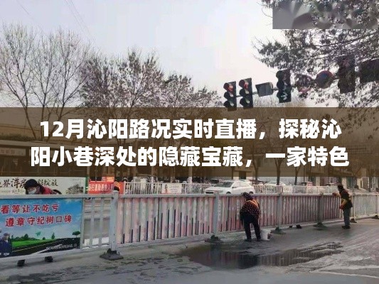 探秘沁陽小巷寶藏，實時路況直播啟程，帶你領略獨特風情