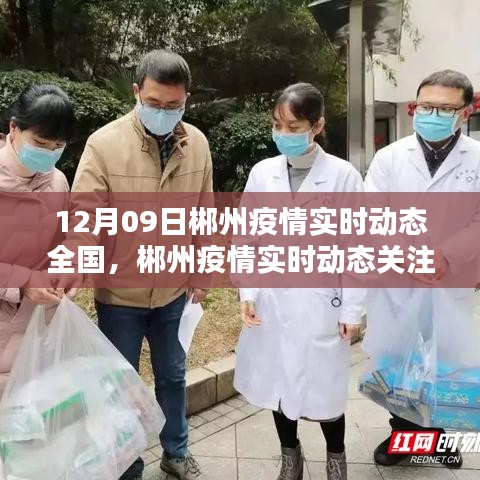 12月09日郴州疫情實時動態(tài)關(guān)注指南，全國疫情動態(tài)及初學(xué)者快速掌握方法
