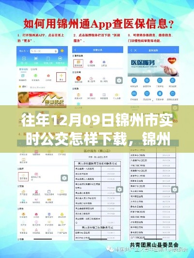 錦州市實(shí)時(shí)公交查詢APP下載指南，以往年12月09日為例的教程分享