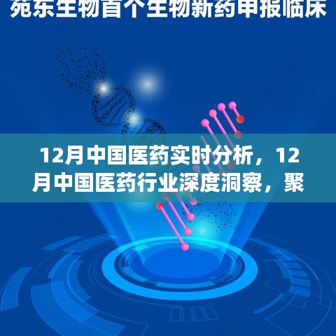聚焦實(shí)時(shí)分析，探尋中國(guó)醫(yī)藥行業(yè)深度洞察與發(fā)展之路