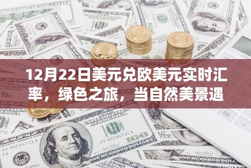 美元與歐元邂逅綠色之旅，匯率波動下的自然美景實時匯率觀察