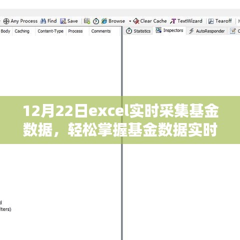 Excel基金數(shù)據(jù)實(shí)時(shí)采集進(jìn)階，掌握實(shí)時(shí)動(dòng)態(tài)，輕松管理投資組合（12月22日）