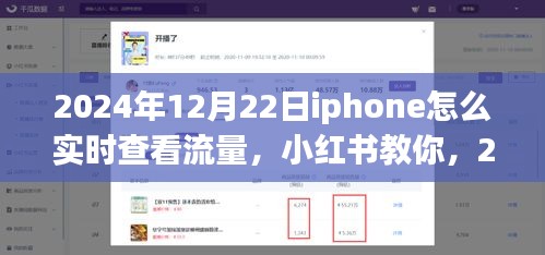 2024年12月22日iPhone實(shí)時(shí)查看流量教程，小紅書(shū)教你如何輕松監(jiān)控流量消耗