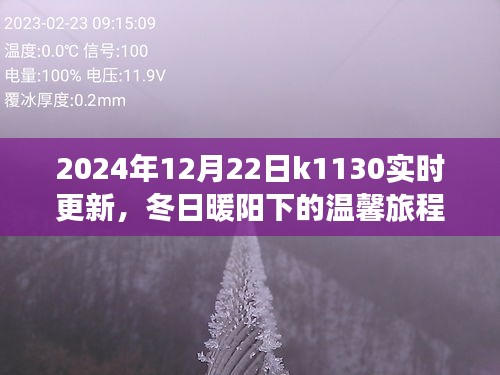 冬日暖陽下的溫馨旅程，K1130列車2024年12月22日實時更新行程揭秘