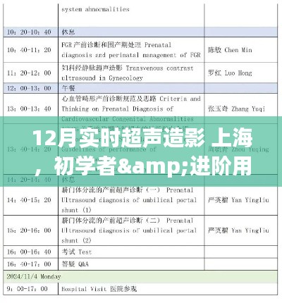 12月上海實(shí)時(shí)超聲造影操作全攻略，從初學(xué)者到進(jìn)階用戶的必備指南