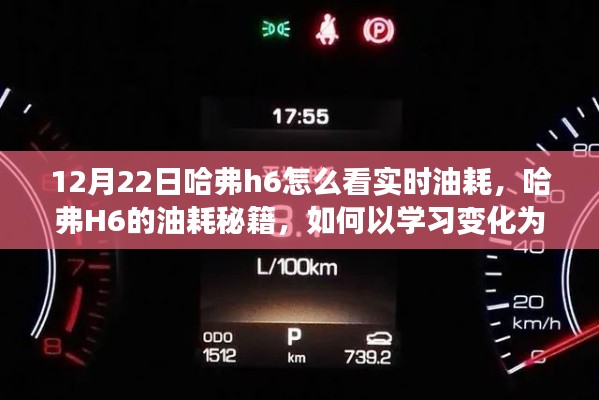 tianshenglizhi 第3頁(yè)