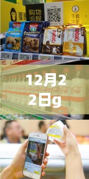 揭秘小巷深處的特色小店，探尋Gal幣實時價格的奇幻之旅（12月22日）