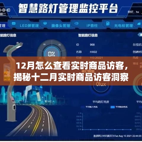 揭秘十二月實(shí)時(shí)商品訪客洞察，洞悉訪客動(dòng)態(tài)與商業(yè)進(jìn)展的秘訣