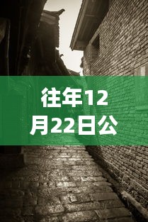 探秘寶藏店，公路云實時監(jiān)控軟件下載新體驗，12月22日實時下載探秘小巷深處之旅