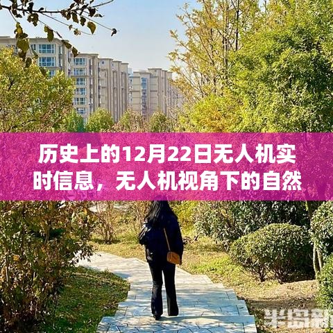 無人機(jī)視角下的歷史秘境，自然之旅與寧靜歷史的探索紀(jì)實(shí)