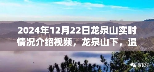 龍泉山實(shí)時(shí)探訪紀(jì)實(shí)，溫馨日常的奇遇與陪伴