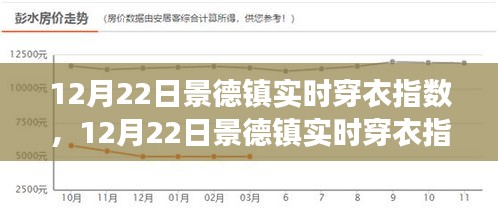 景德鎮(zhèn)實(shí)時(shí)穿衣指數(shù)，寒冷天氣下的時(shí)尚與舒適度共存指南
