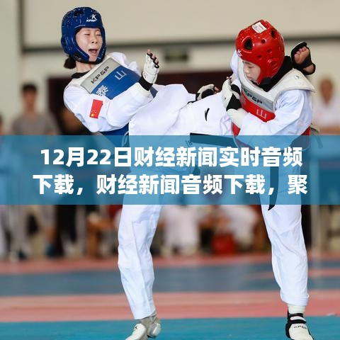 12月22日財(cái)經(jīng)新聞實(shí)時(shí)音頻下載，深度探討與觀點(diǎn)爭(zhēng)議