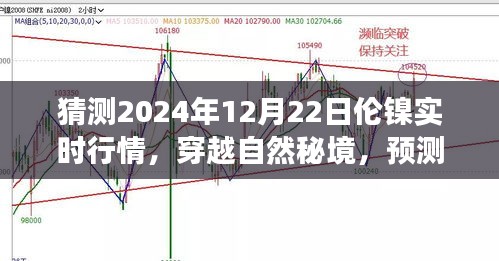 倫鎳行情預(yù)測(cè)與心靈之旅，穿越自然秘境，探索2024年倫鎳實(shí)時(shí)行情的奇妙交織