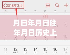 ruixuefenfei 第3頁(yè)