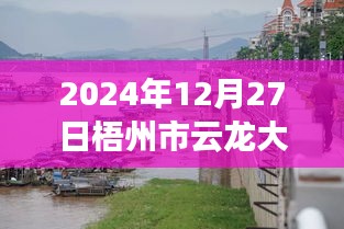 梧州市云龍大橋?qū)崟r(shí)水位監(jiān)測(cè)指南，以初學(xué)者和進(jìn)階用戶視角看水位監(jiān)測(cè)