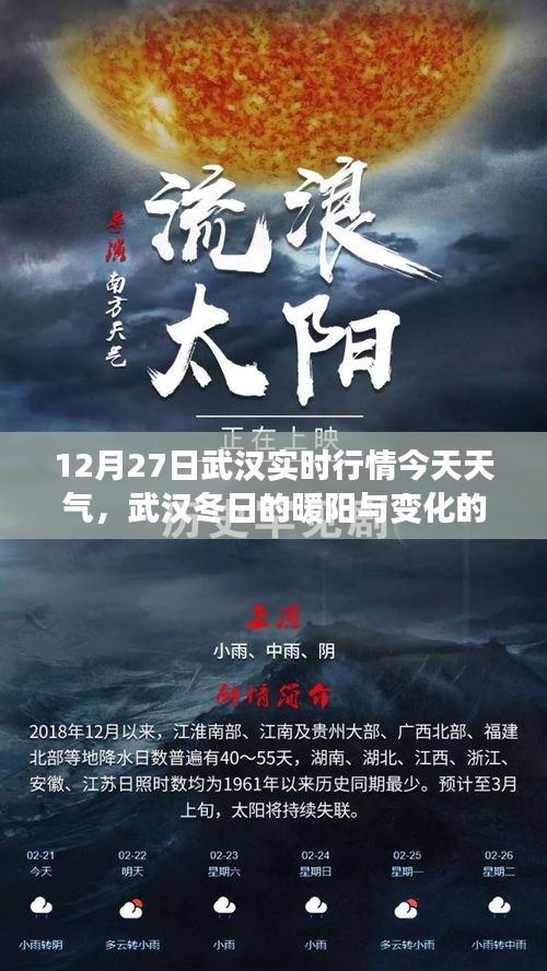 武漢冬日的暖陽與變化的力量，今日實(shí)時(shí)行情及學(xué)習(xí)帶來的自信與成就感