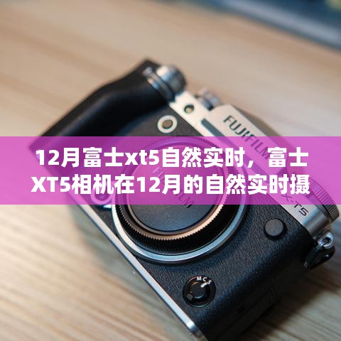 富士XT5相機，十二月自然實時攝影體驗分享