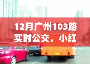 揭秘廣州公交新體驗(yàn)，小紅書推薦下的廣州公交103路實(shí)時(shí)動(dòng)態(tài)（12月版）