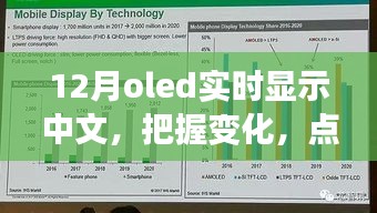 12月OLED中文實(shí)時(shí)顯示，把握變化，點(diǎn)亮未來——展現(xiàn)你的中文魅力