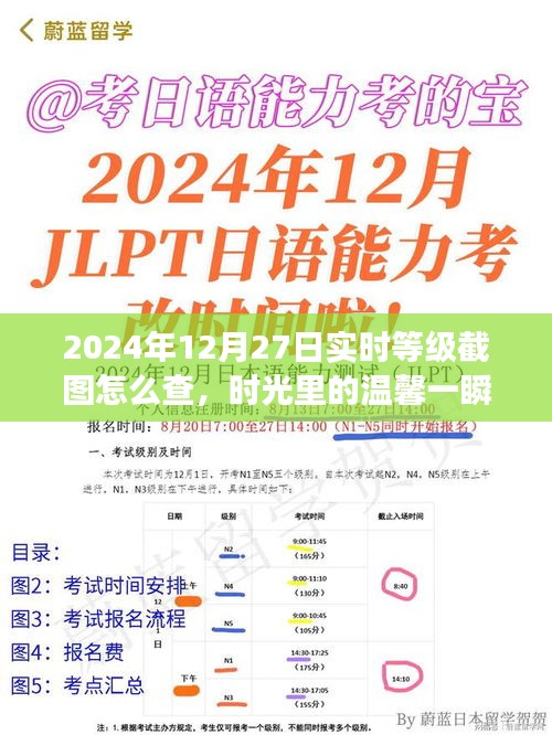 2024年12月27日等級(jí)截圖揭秘，時(shí)光溫馨一瞬，友誼見(jiàn)證時(shí)刻