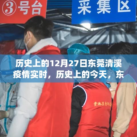 東莞清溪疫情下的勵志篇章，實時歷程、學習成就與自信之光閃耀十二月二十七日