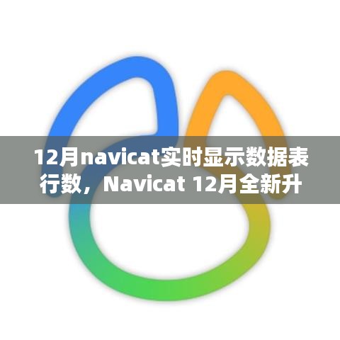 Navicat 12月升級(jí)亮點(diǎn)，實(shí)時(shí)數(shù)據(jù)表行數(shù)顯示，科技助力數(shù)據(jù)管理便捷性