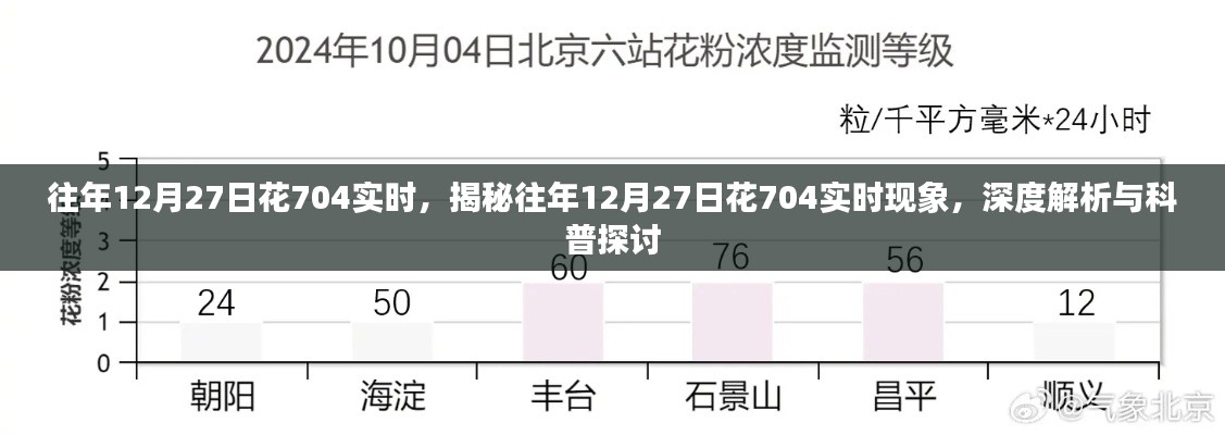 揭秘與深度解析，往年12月27日花704實(shí)時現(xiàn)象探討
