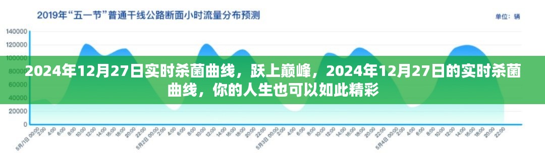 躍上巔峰，實(shí)時(shí)殺菌曲線揭秘人生精彩篇章，2024年12月27日記錄時(shí)刻