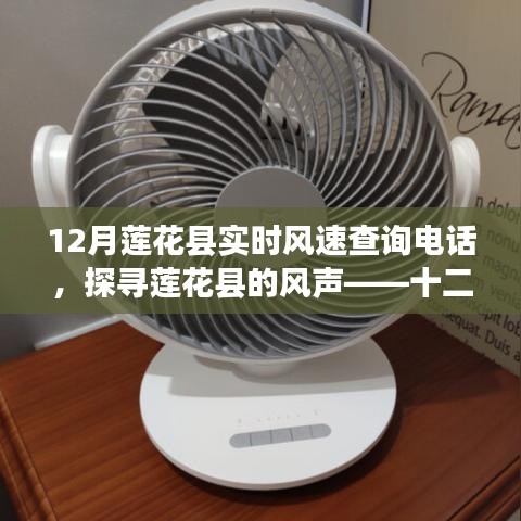 探尋蓮花縣風(fēng)聲，十二月實(shí)時(shí)風(fēng)速查詢電話全解析
