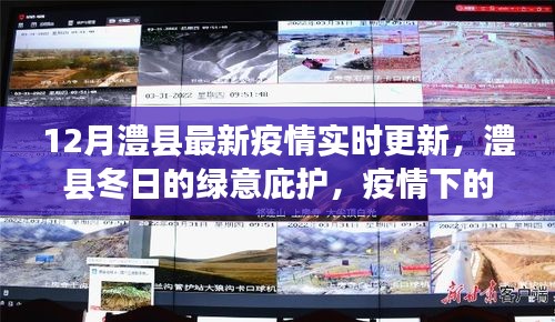 澧縣疫情實(shí)時(shí)更新，冬日的綠意庇護(hù)與疫情下的自然探索