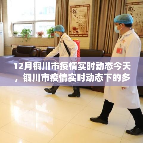 銅川市疫情實時動態(tài)下的多維觀察與深度思考，12月疫情最新進展