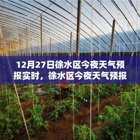 cuchadanfan 第3頁