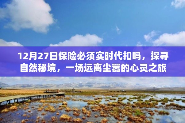 保險代扣與心靈之旅，探尋自然秘境的遠離塵囂之旅