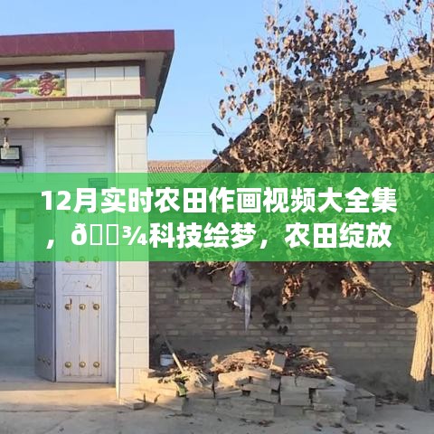12月實(shí)時農(nóng)田作畫視頻驚艷呈現(xiàn)，科技繪夢，農(nóng)田綻放新篇章！