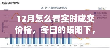 冬陽(yáng)下的實(shí)時(shí)成交價(jià)格探索之旅，與友共賞奇妙之旅